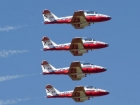snowbirds snowbirds