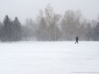 blizzard6 blizzard6