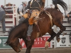 rodeo rodeo