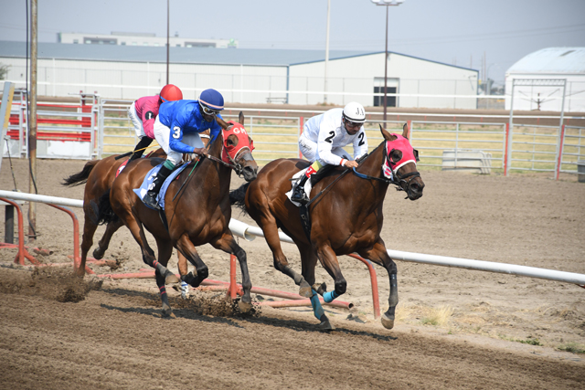 Racing Club - Horse Ownership in Alberta