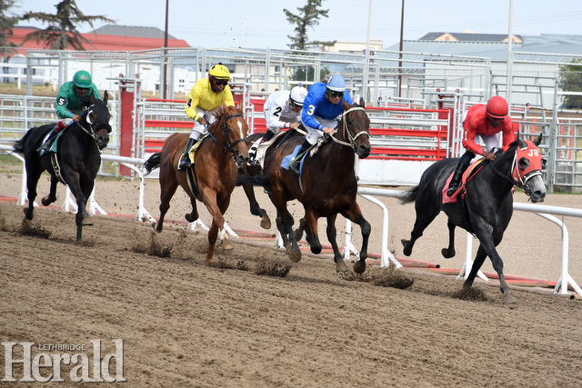 Racing Club - Horse Ownership in Alberta