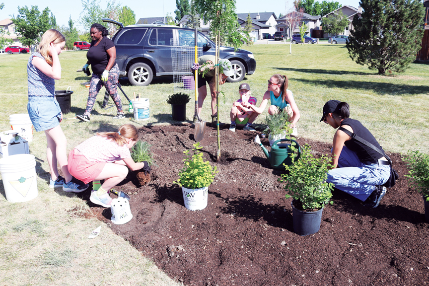 Environment Week kicks off in city with tree planting