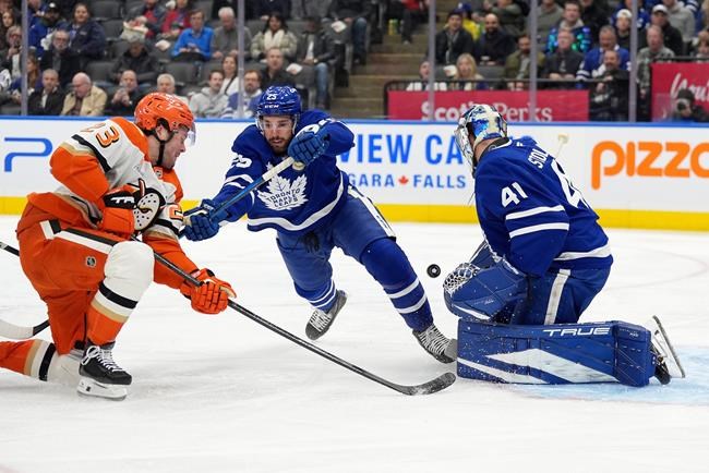 Injury Woes Continue For Maple Leafs As Goaltender Anthony Stolarz ...