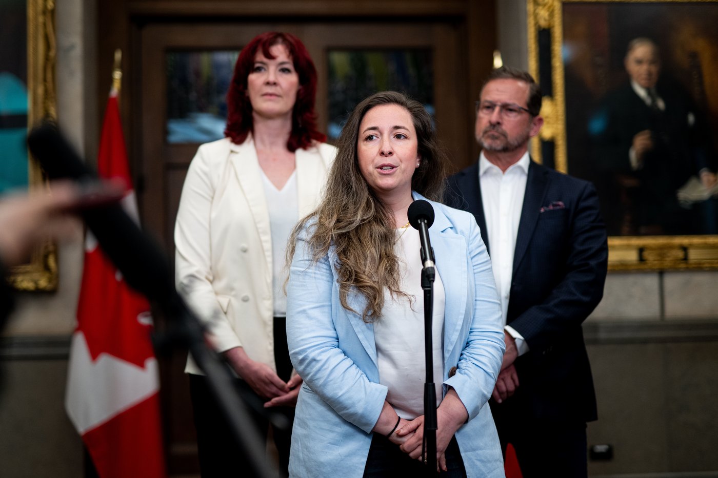 ‘Unreasonable’ to cancel election won by single vote, lawyer for Liberal MP says