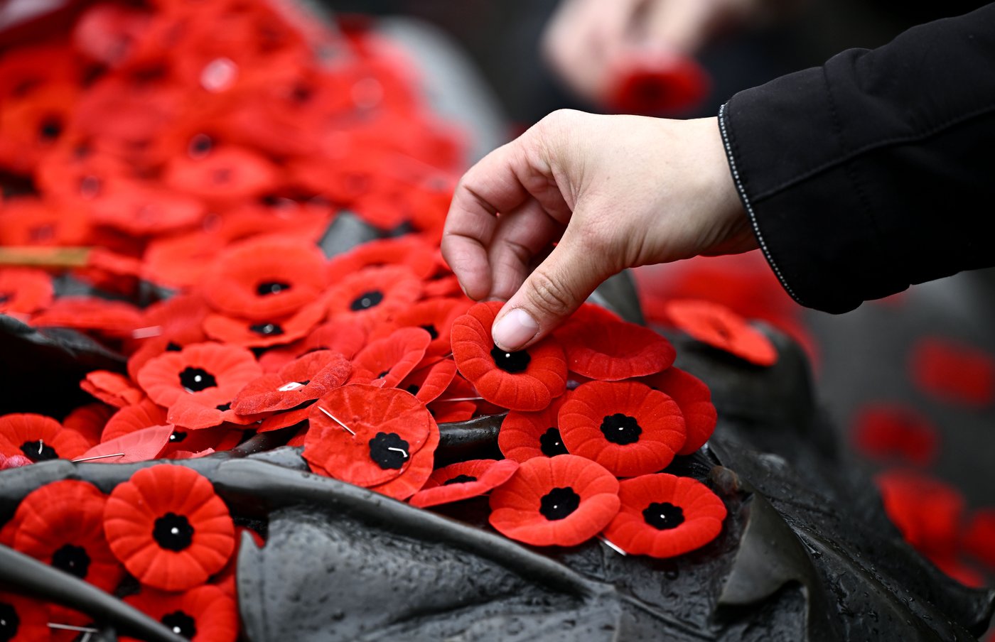 The Latest: Canadians across country gather to honour those who fought, died in wars